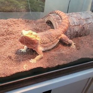 Meet your Posher, Zeeshan